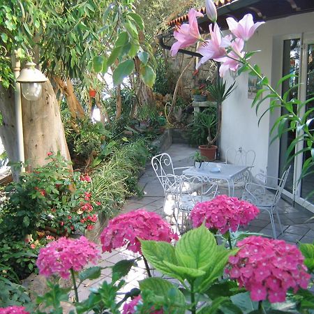 Hotel Europa Ischia Esterno foto